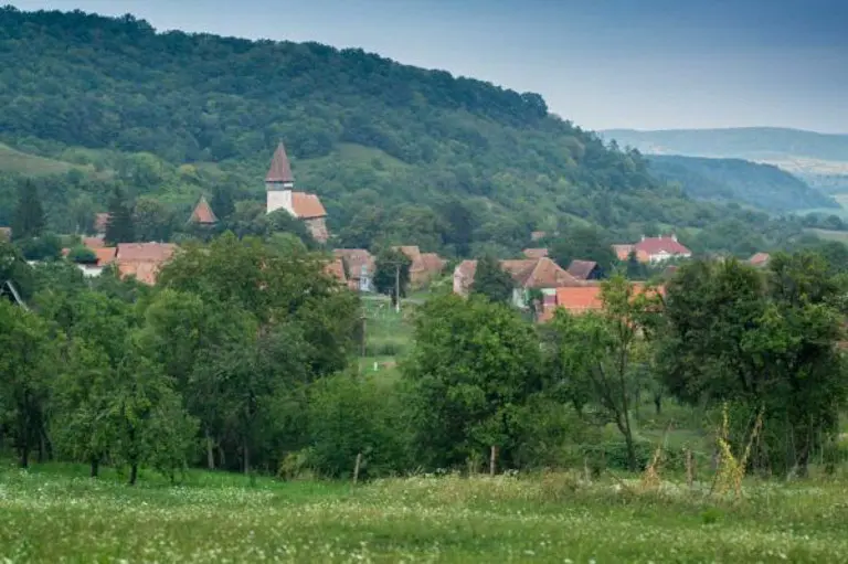 Sat în Transilvania