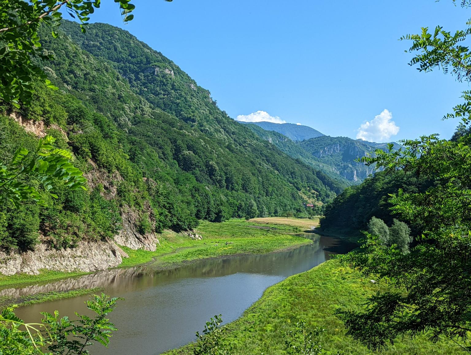 Rezervația Domogled